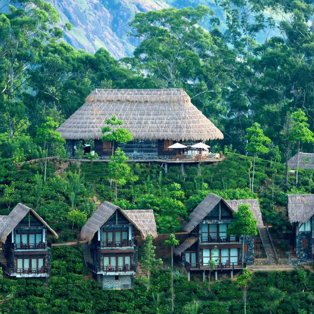 Nature & Safari Lodges