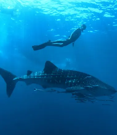 Maldives + Sri Lanka — photo 2