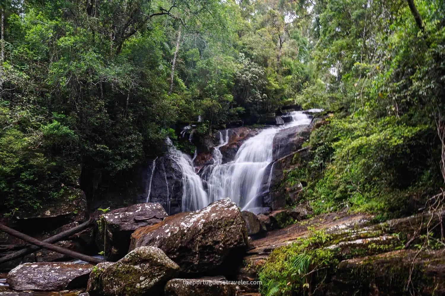Sinharaja Forest Reserve