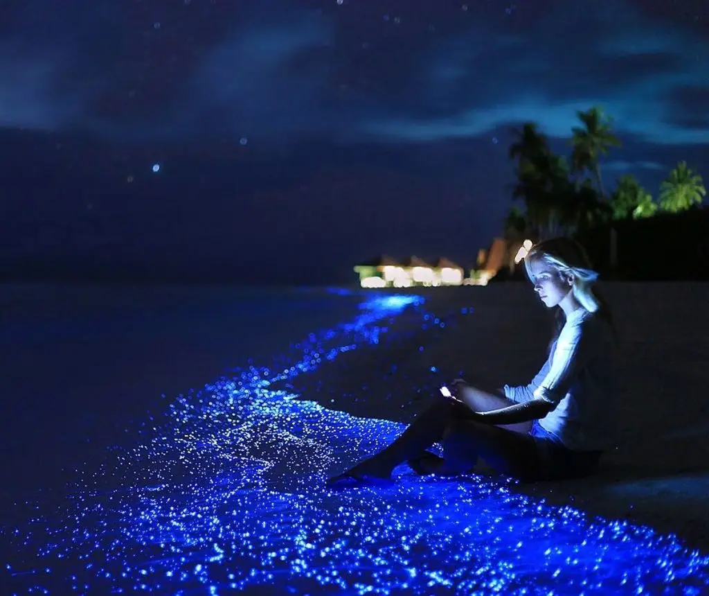 Maldives + Sri Lanka — photo 3