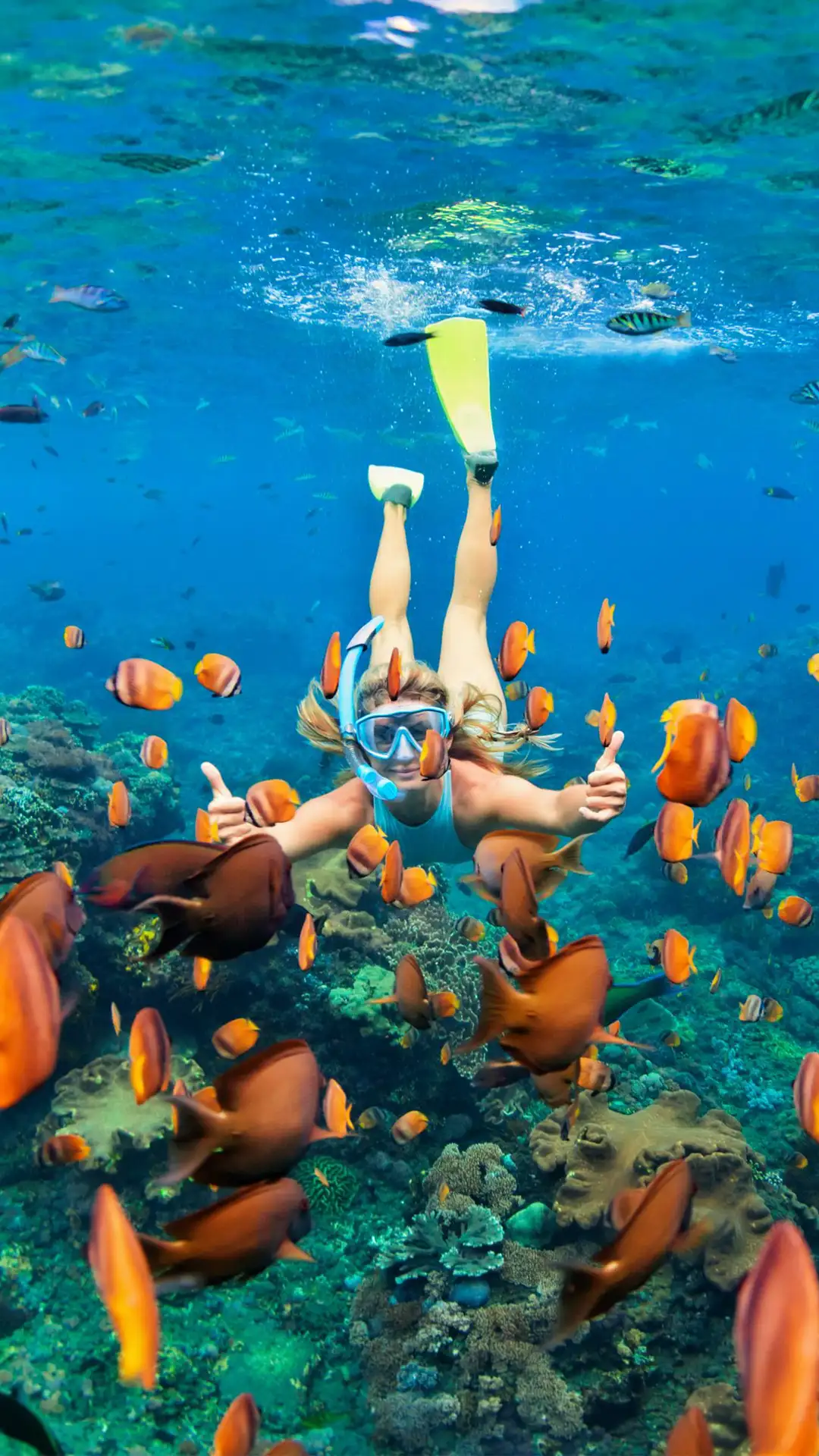 Marine & Wildlife Experiences