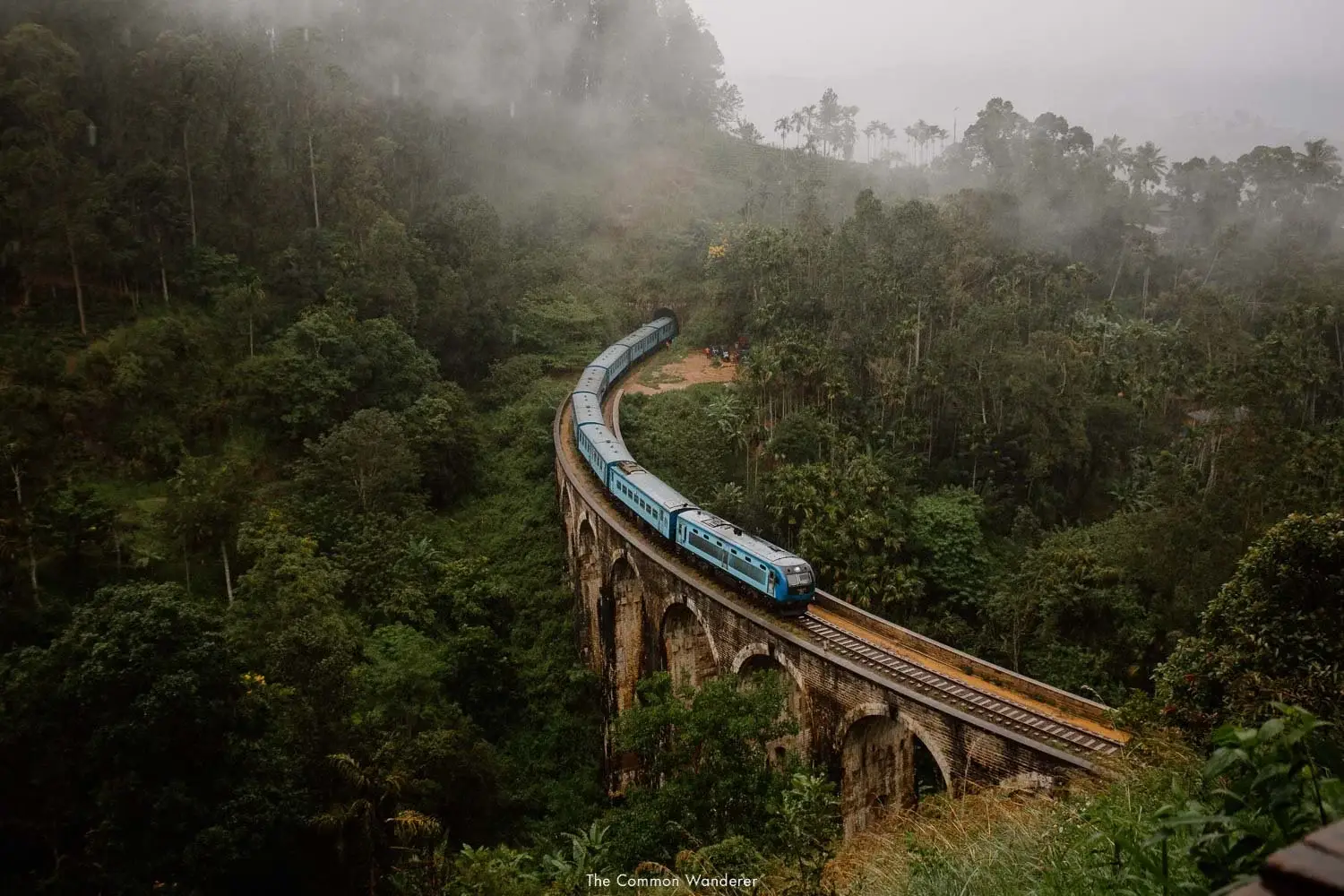 Sri Lanka: Culture, Tea Hills & Beaches — 7-Day Private Tour