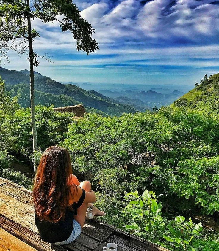 Grand Sri Lanka: Culture, Wildlife, Tea Hills & Beaches - 9-Day Tour gallery image 1