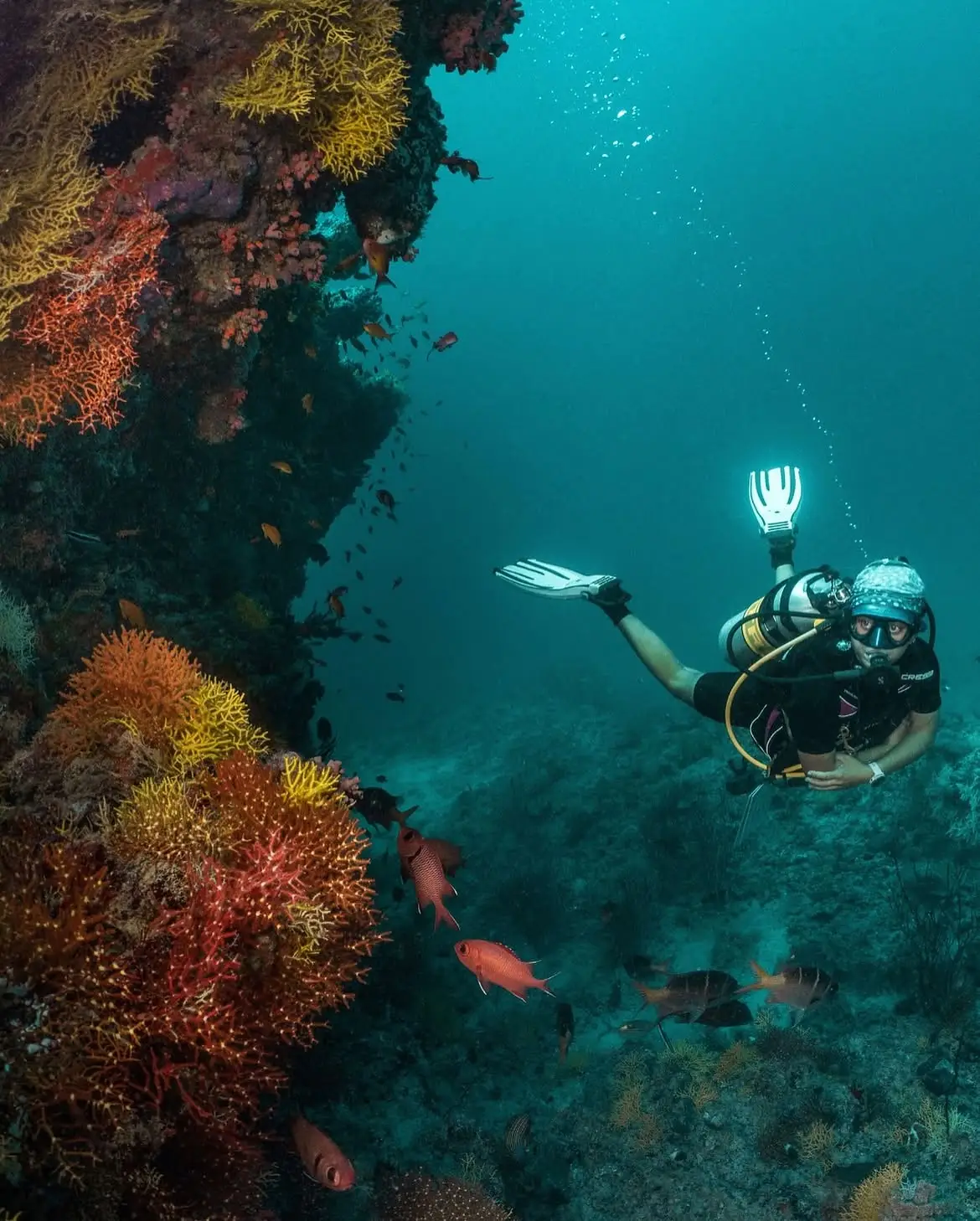 A diver exploring the coral reef near Finolhu in the Baa Atoll UNESCO Biosphere Reserve, home to colourful reef fish.
