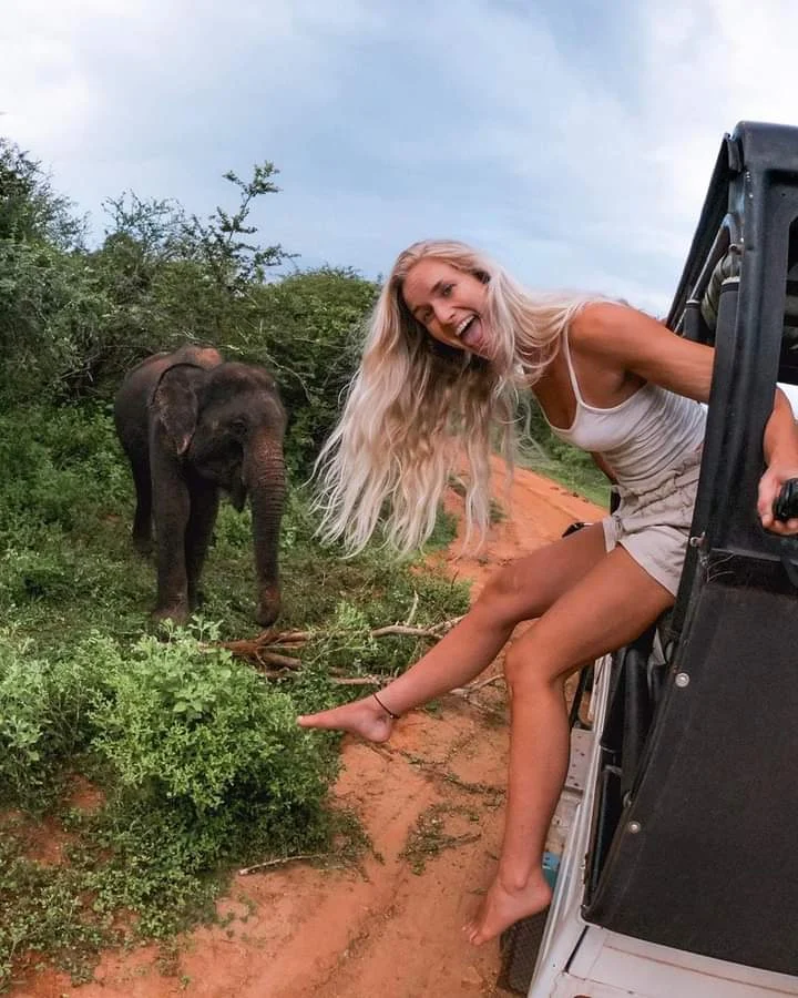 Book yala safari Inquiries whatsapp +94770882944 Yala is specifically best known for its variet