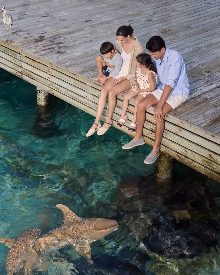 A family sitting on a jetty above clear water, watching marine life below