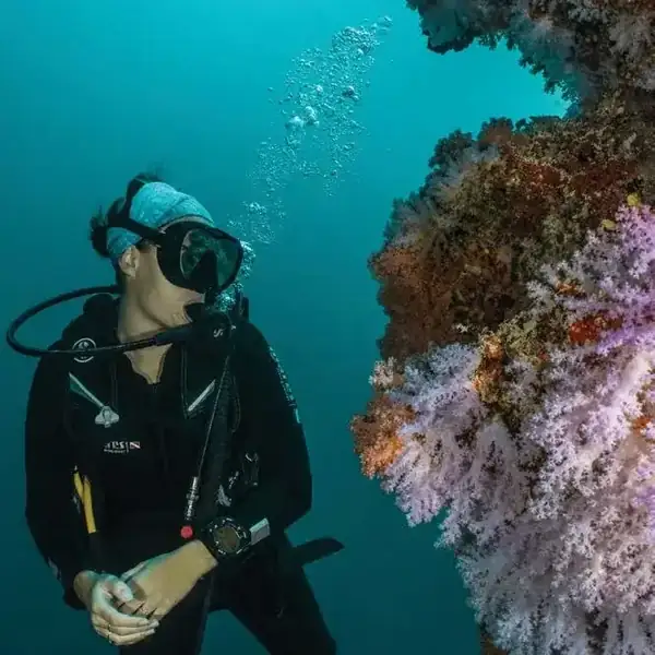 A scuba diver beside soft coral in clear blue water
