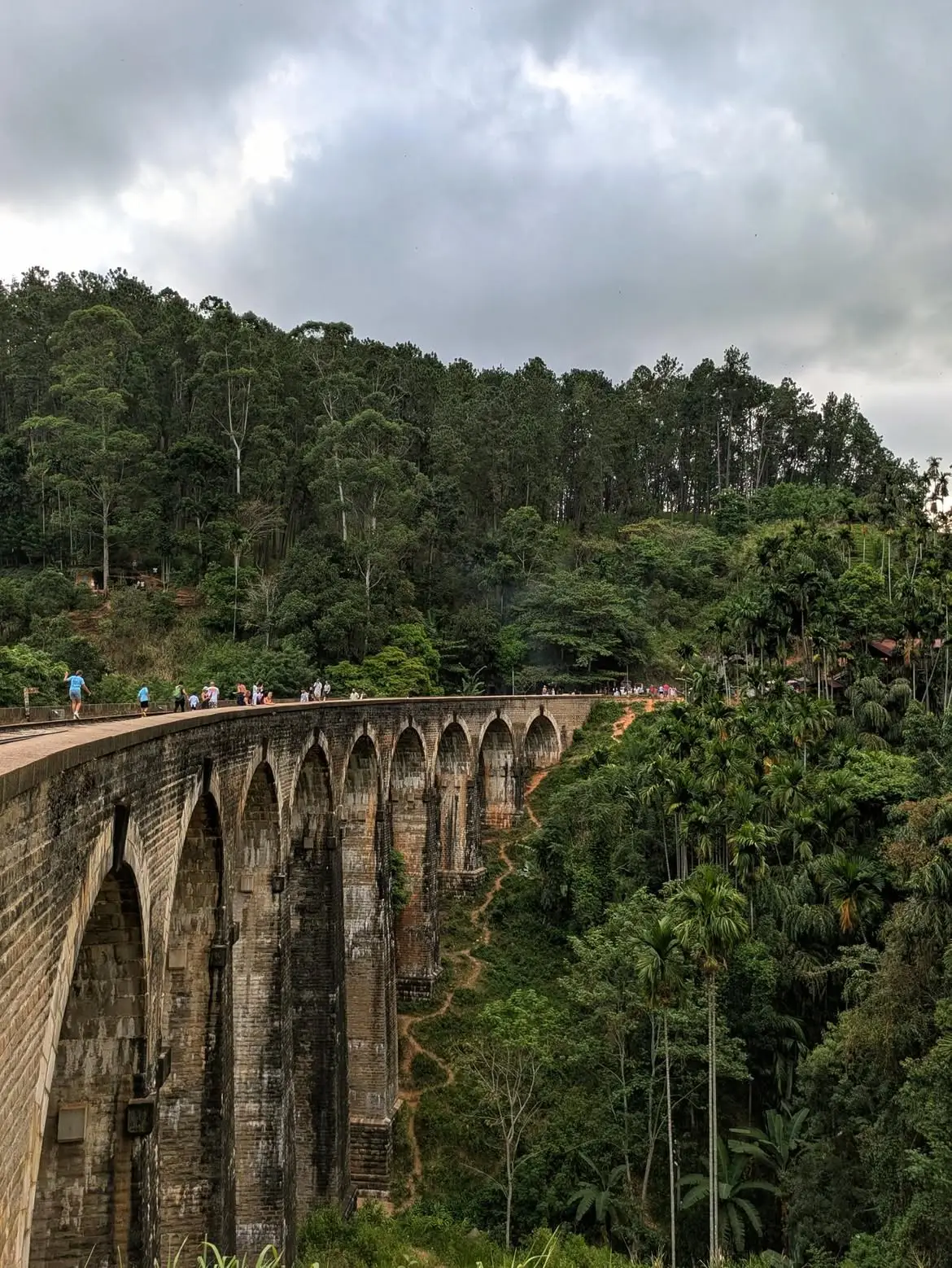 Grand Sri Lanka: Culture, Wildlife, Tea Hills & Beaches - 9-Day Tour
