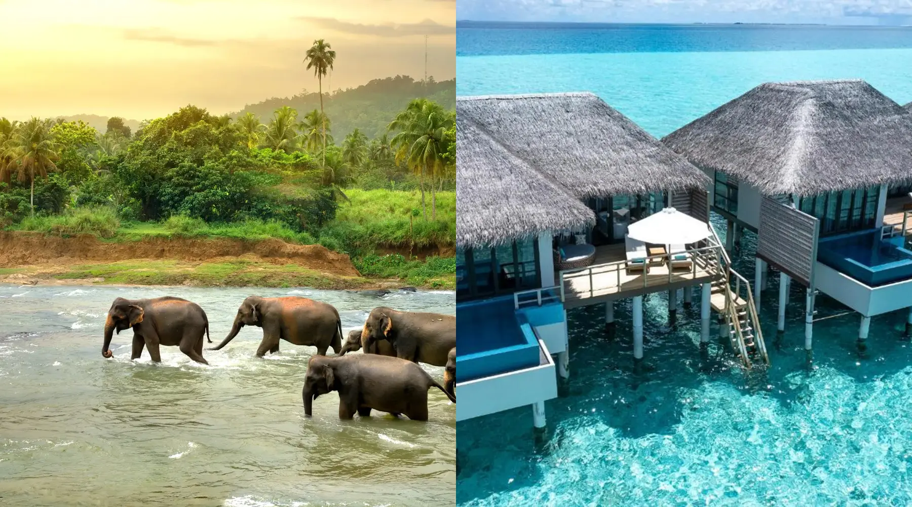 Elephants crossing a river in Sri Lanka beside an overwater villa in the Maldives