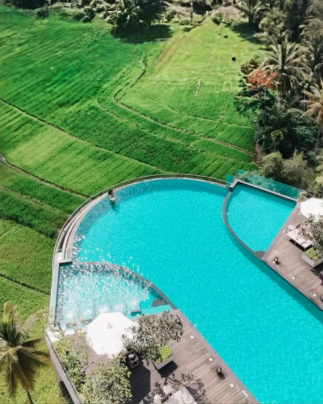 Grand Sri Lanka: Culture, Wildlife, Tea Hills & Beaches - 9-Day Tour gallery image 3