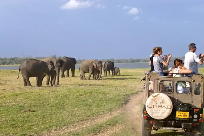 Travelling to Sri Lanka with Kids: Everything You Need to Know