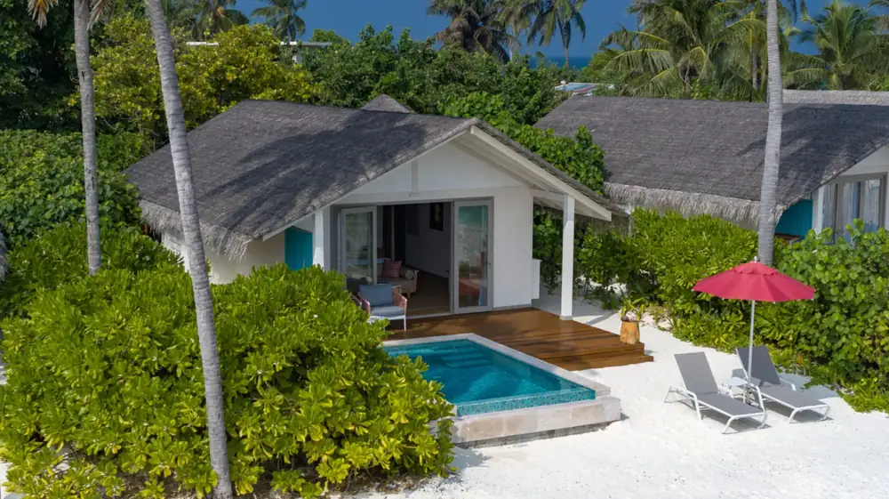 A thatched beach villa among palms with a private plunge pool and loungers on white sand