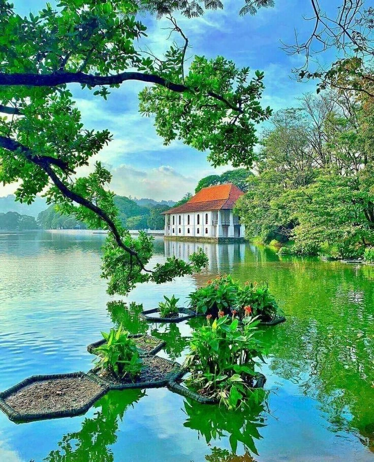 Grand Sri Lanka: Culture, Wildlife, Tea Hills & Beaches - 9-Day Tour gallery image 4