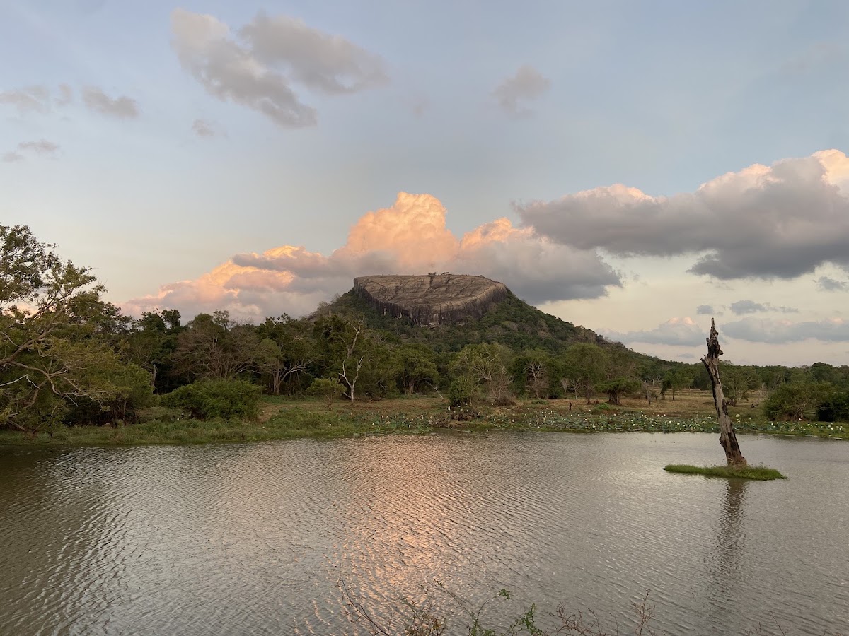 Pidurangala & Lion Rocks viewpoint
