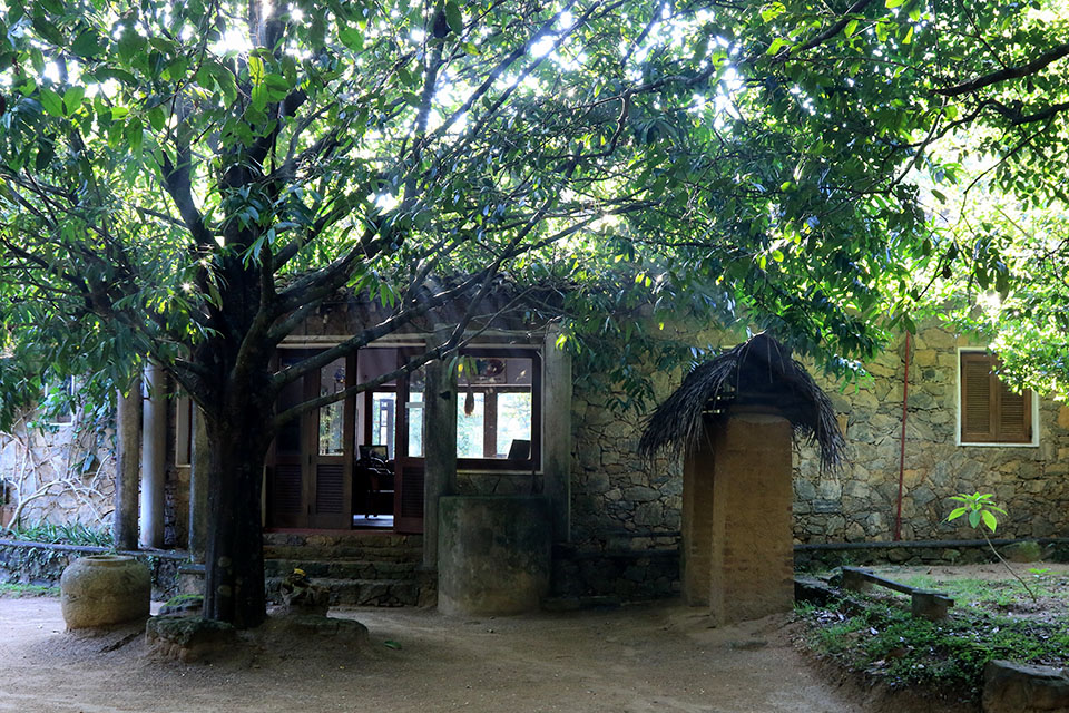 Popham's Arboretum