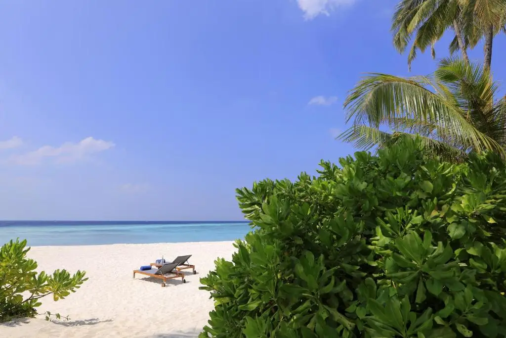 Avani Plus Fares Maldives Resort — Beach Pool Villa