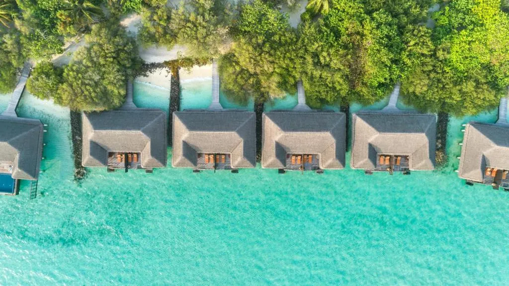 Taj Exotica Resort & Spa, Maldives — photo 5