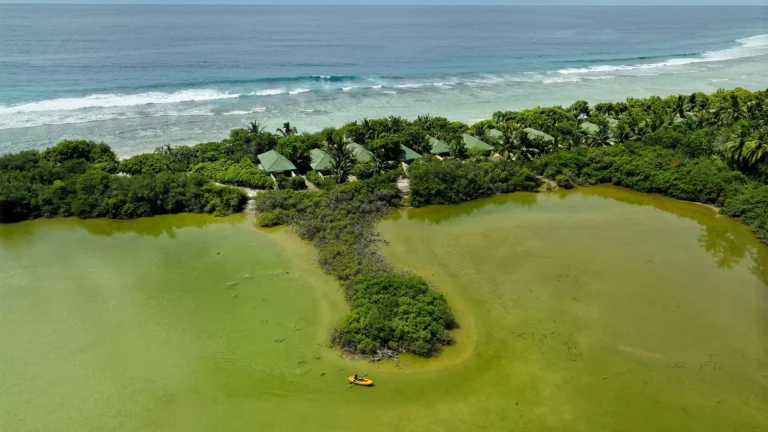 Canareef Resort Maldives